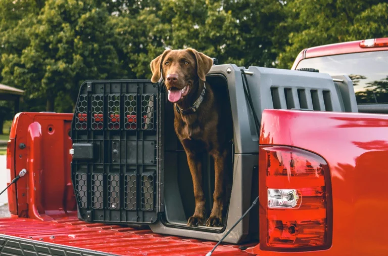 Truck Bed Liner Protection: Complete Guide to TruXedo Options
